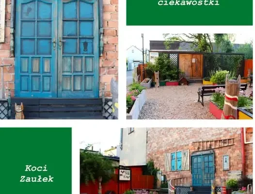 Koci Zaułek w Jaworznie – skwer, który pokochają mieszkańcy i koty